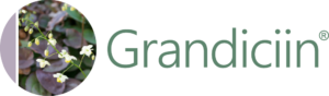 Grandiciin