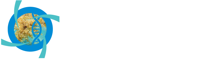 DermalRx FSE white