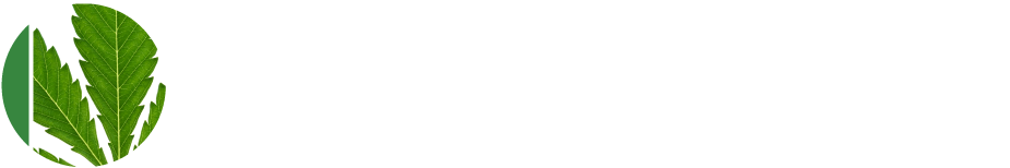 HEDI Hemp Seed Oil white