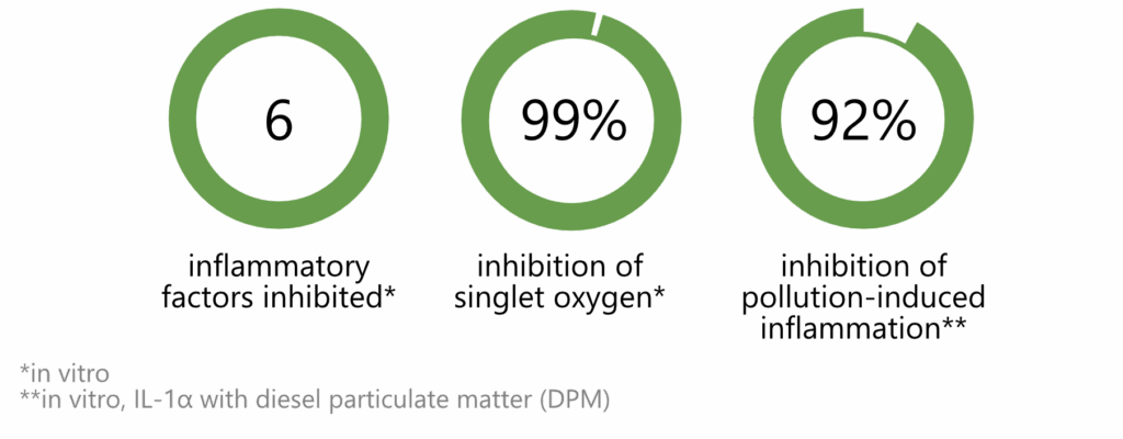 Holy Basil infographic