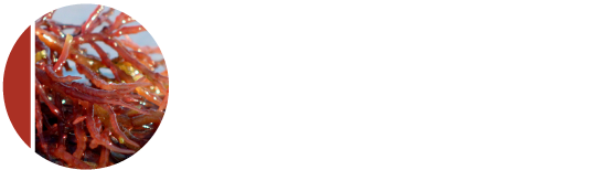 MariMoist white