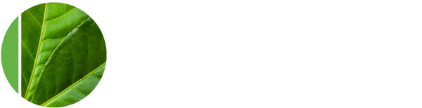 Scavenox HH white