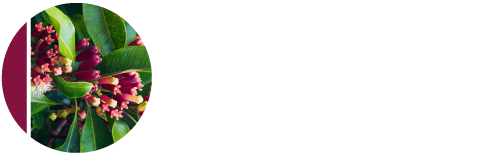 Tellirictin white