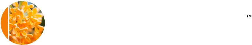 DermalRx LuShield white