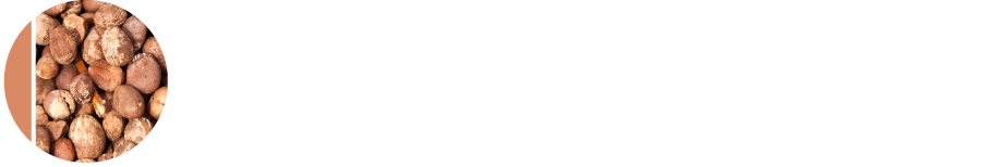 HEDI Shea Butter SF white