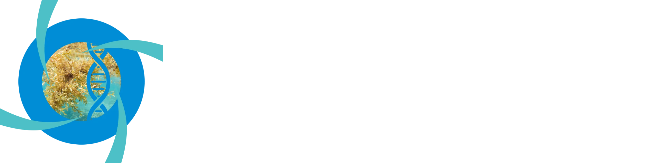 DermalRx FSE HH logo white