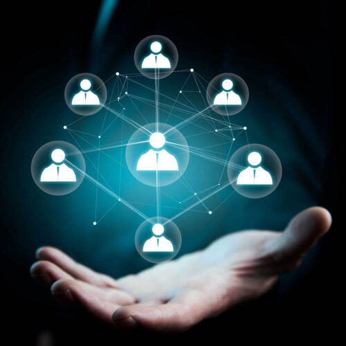 Graphic showing different roles and connection careers image 2