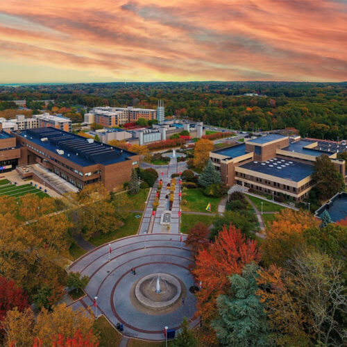 aerial view of company and green cover