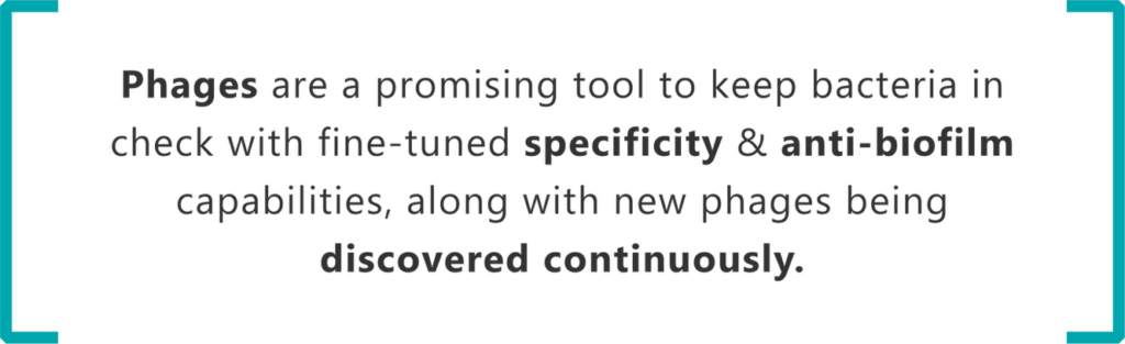 phages are a promising