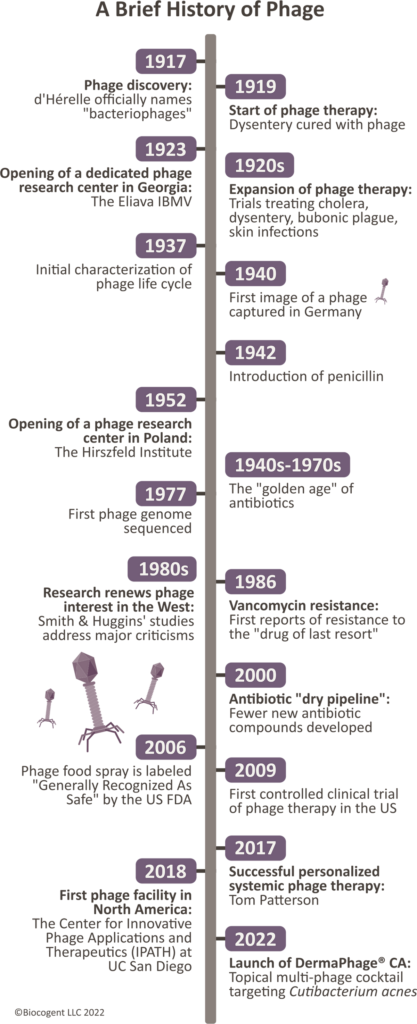 Phage Timeline