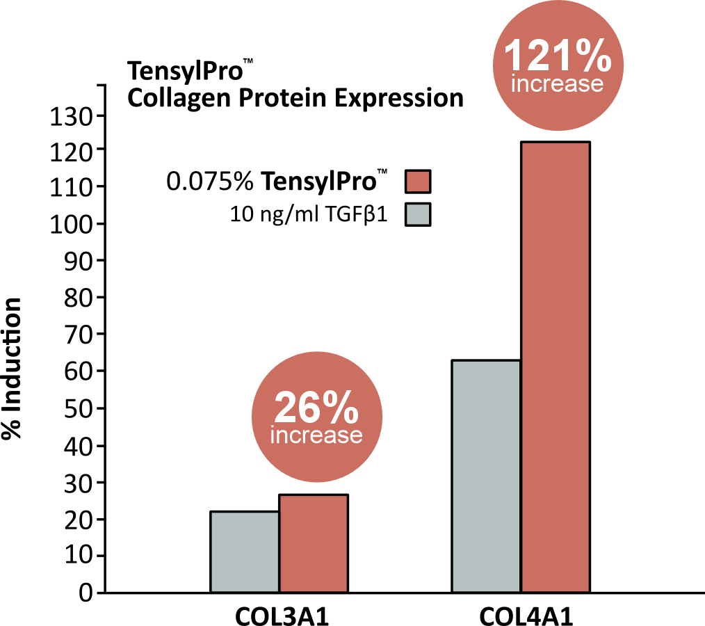 COL3A1 expression